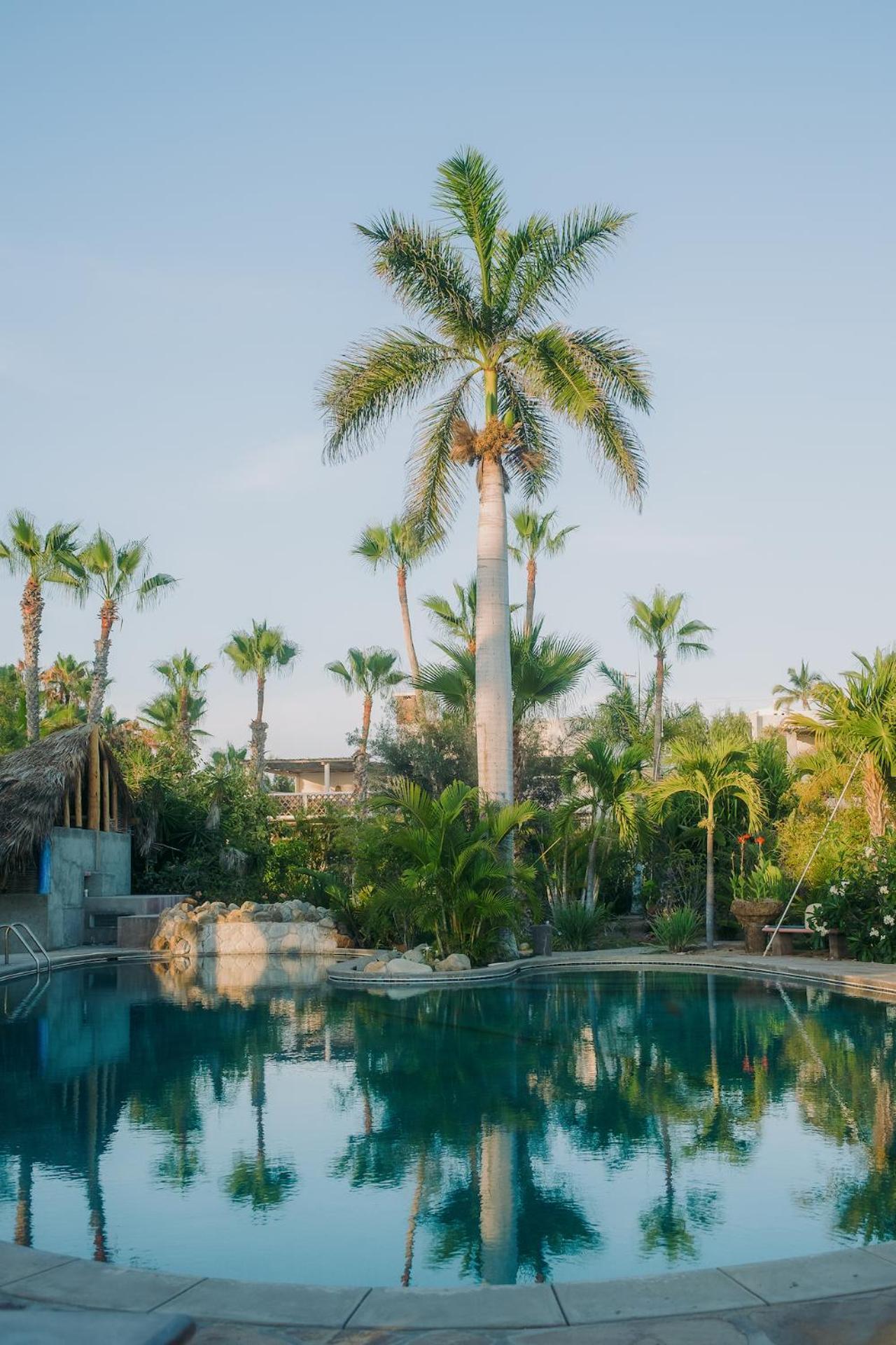 La Poza Boutique Hotel And Spa - Adults 15 Plus Тодос Сантос Екстериор снимка